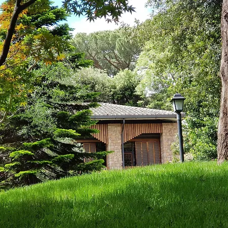 Θέρετρο Fauno Urban 3*