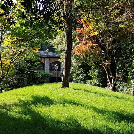 Fauno Urban Ρώμη